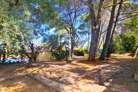Villa a Alberic, Valencia, Alberic - € 390.000 | Ref: AlbBa01a - foto 28