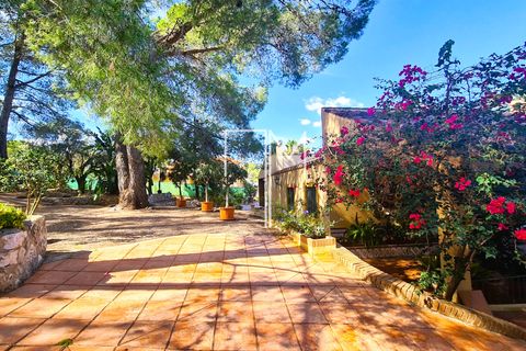 Villa a Alberic, Valencia, Alberic - € 390.000 | Ref: AlbBa01a - foto 27