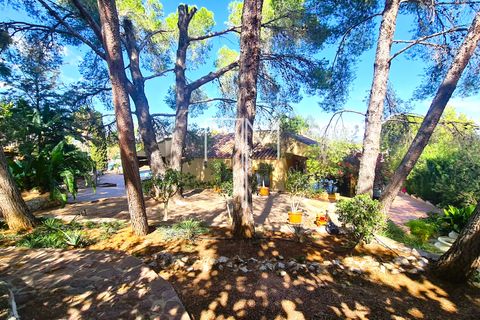 Villa a Alberic, Valencia, Alberic - € 390.000 | Ref: AlbBa01a - foto 29