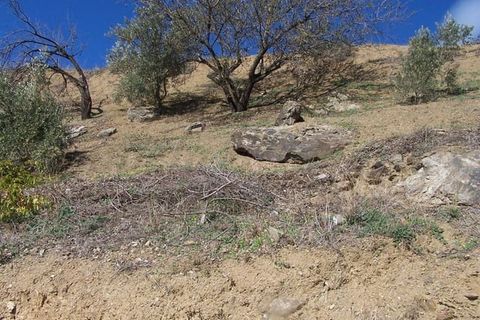 Terra a Archez, Malaga, Archez - € 59.000 | Ref: P111 - foto 2