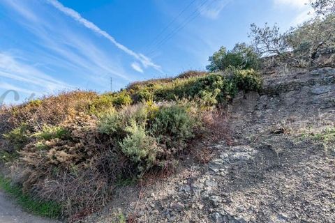 Tomt i Torrox, Malaga, Torrox - € 48 000 | Ref: P225 - foto 3