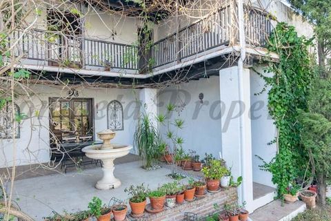 Finca i Torrox, Malaga, Torrox - € 880 000 | Ref: CP516 - foto 14
