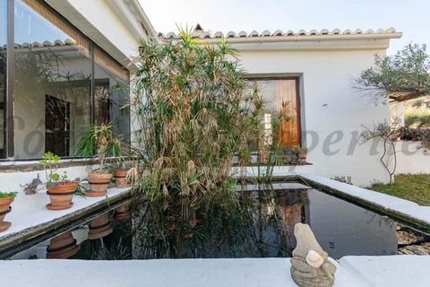Finca i Torrox, Malaga, Torrox - € 880 000 | Ref: CP516 - foto 19