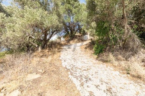 Tomt i Torrox, Malaga, Torrox - € 62 500 | Ref: TP137 - foto 2