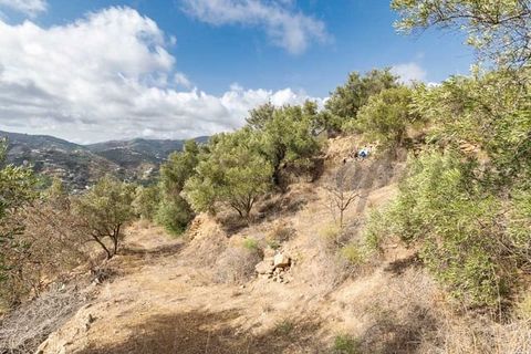 Tomt i Torrox, Malaga, Torrox - € 62 500 | Ref: TP137 - foto 3