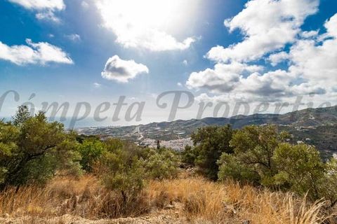Tomt i Torrox, Malaga, Torrox - € 62 500 | Ref: TP137 - foto 5