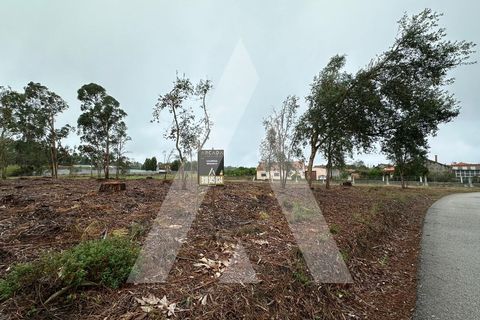 Helårsgrund i Oia, Aveiro, Oia - € 110.000 | Ref: 1051229/24 OB - foto 2