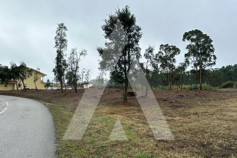 Helårsgrund i Oia, Aveiro, Oia - € 110.000 | Ref: 1051229/24 OB - foto 3