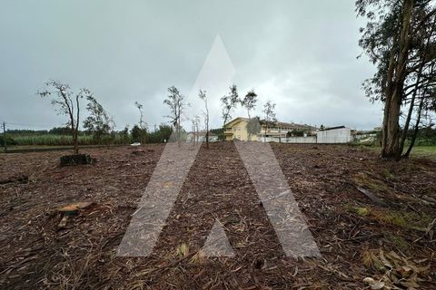 Helårsgrund i Oia, Aveiro, Oia - € 110.000 | Ref: 1051229/24 OB - foto 6