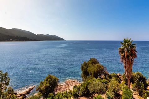 Leilighet i Sagone, Corse-du-Sud, Sagone - € 375 000 | Ref: 811 - foto 7
