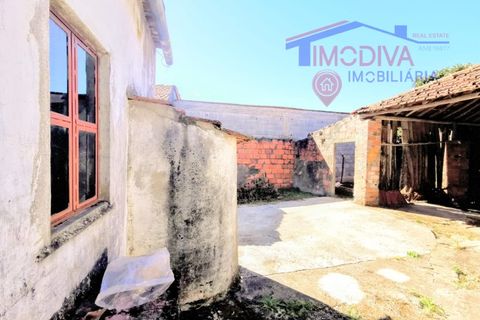 Villa a Ansiao, Leiria, Ansiao - € 89.000 | Ref: DV364/1024 - foto 15