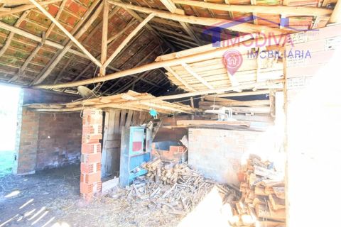 Villa a Ansiao, Leiria, Ansiao - € 89.000 | Ref: DV364/1024 - foto 19