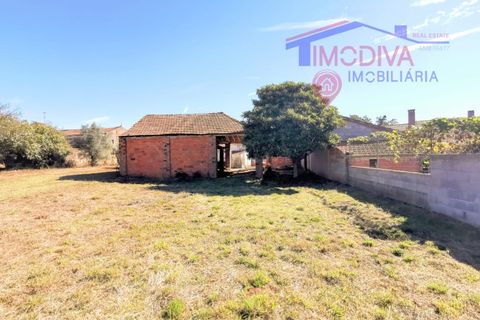Villa a Ansiao, Leiria, Ansiao - € 89.000 | Ref: DV364/1024 - foto 20