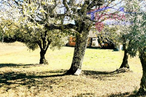 Villa a Ansiao, Leiria, Ansiao - € 89.000 | Ref: DV364/1024 - foto 21