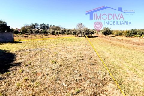 Villa a Ansiao, Leiria, Ansiao - € 89.000 | Ref: DV364/1024 - foto 23