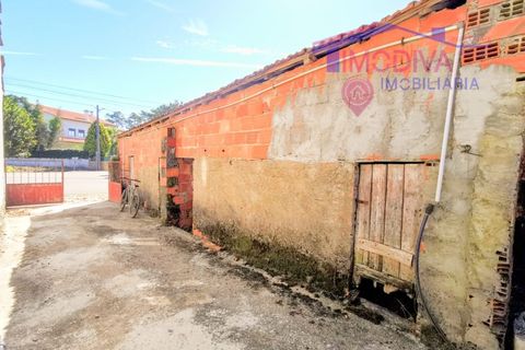 Villa a Ansiao, Leiria, Ansiao - € 89.000 | Ref: DV364/1024 - foto 25