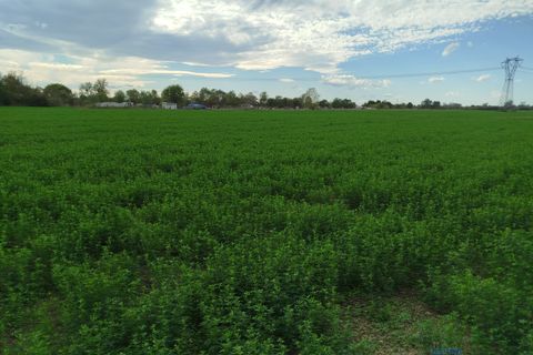 Helårsgrund i Carpi, Modena, Carpi - € 42.202 | Ref: OTB-912 - foto 2