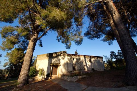 Villa a El Catllar, Tarragona, El Catllar - € 1.050.000 | Ref: EXP08361/8930 - foto 15