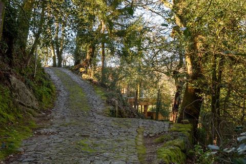Villa a Tabuacas, Braga, Tabuacas - € 1.300.000 | Ref: SAVPRT12064 - foto 8
