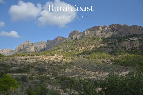 Apartament a Mutxamel, Alicante, Mutxamel - € 350.750 | Ref: 4098 - foto 46
