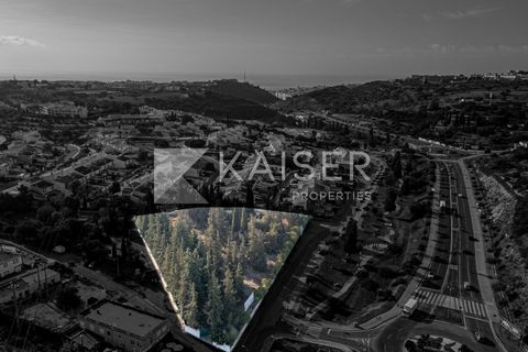 Helårsgrund i Albufeira, Faro, Albufeira - € 1.900.000 | Ref: KP1253 - foto 9