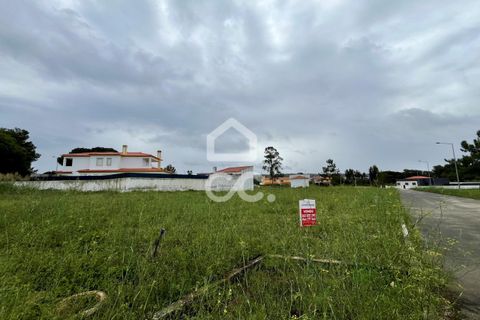 Helårsgrund i Obidos, Leiria, Obidos - € 64.000 | Ref: 386/T/00316 - foto 3