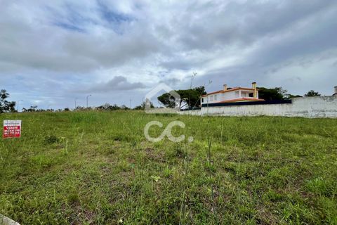 Helårsgrund i Obidos, Leiria, Obidos - € 64.000 | Ref: 386/T/00316 - foto 9