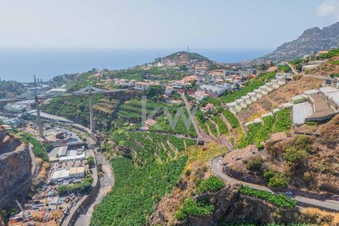 Helårsgrund i Camara de Lobos, Madeira, Camara de Lobos - € 280.000 | Ref: 1212-3984 - foto 3