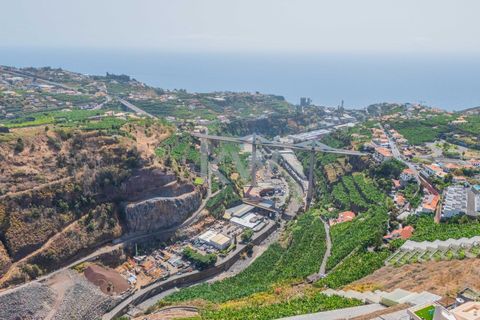 Helårsgrund i Camara de Lobos, Madeira, Camara de Lobos - € 280.000 | Ref: 1212-3984 - foto 5