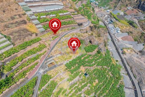 Helårsgrund i Camara de Lobos, Madeira, Camara de Lobos - € 280.000 | Ref: 1212-3984 - foto 7