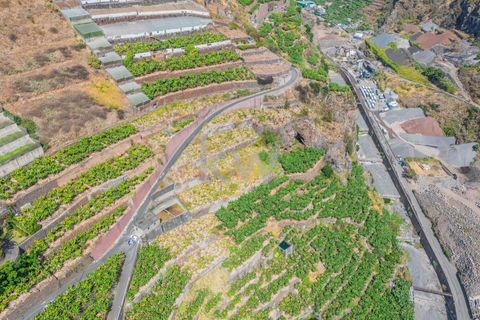 Helårsgrund i Camara de Lobos, Madeira, Camara de Lobos - € 280.000 | Ref: 1212-3984 - foto 8