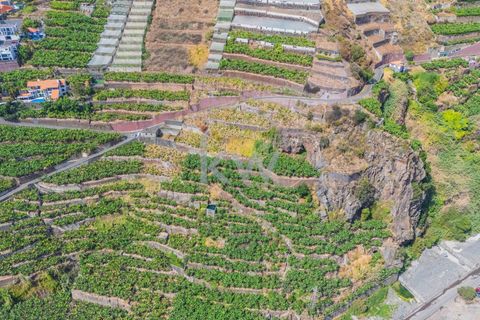 Helårsgrund i Camara de Lobos, Madeira, Camara de Lobos - € 280.000 | Ref: 1212-3984 - foto 10