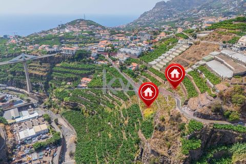 Helårsgrund i Camara de Lobos, Madeira, Camara de Lobos - € 280.000 | Ref: 1212-3984 - foto 11