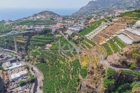 Helårsgrund i Camara de Lobos, Madeira, Camara de Lobos - € 280.000 | Ref: 1212-3984 - foto 12