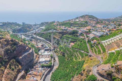 Helårsgrund i Camara de Lobos, Madeira, Camara de Lobos - € 280.000 | Ref: 1212-3984 - foto 14