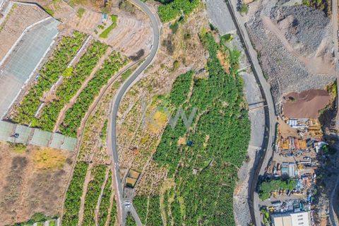 Helårsgrund i Camara de Lobos, Madeira, Camara de Lobos - € 280.000 | Ref: 1212-3984 - foto 20