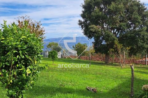 Helårsgrund i Arcos de Valdevez, Viana do Castelo, Arcos de Valdevez - € 79.000 | Ref: AV6151 - foto 3
