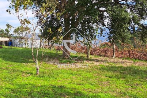 Helårsgrund i Arcos de Valdevez, Viana do Castelo, Arcos de Valdevez - € 79.000 | Ref: AV6151 - foto 10
