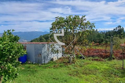 Helårsgrund i Arcos de Valdevez, Viana do Castelo, Arcos de Valdevez - € 79.000 | Ref: AV6151 - foto 13