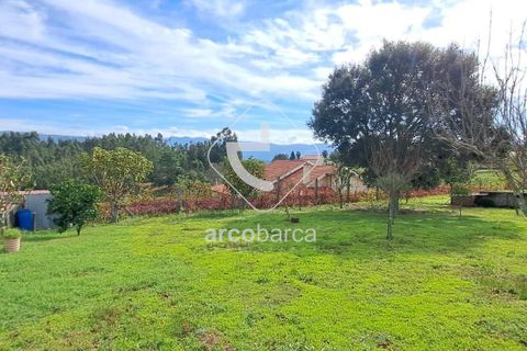 Helårsgrund i Arcos de Valdevez, Viana do Castelo, Arcos de Valdevez - € 79.000 | Ref: AV6151 - foto 17