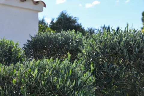 Villa i Uzes, Gard, Uzes - € 998.000 | Ref: HH-15556718 - foto 29