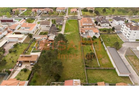 Helårsgrund i Ovar, Aveiro, Ovar - € 190.000 | Ref: SAFTI:005830 - foto 5