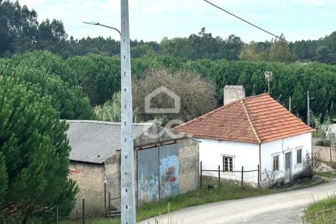 Villa i Juncal, Leiria, Juncal - € 160.000 | Ref: 364/M/01147 - foto 3