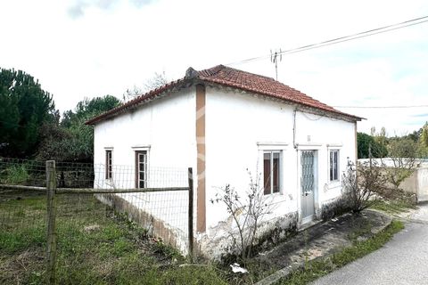 Villa i Juncal, Leiria, Juncal - € 160.000 | Ref: 364/M/01147 - foto 1