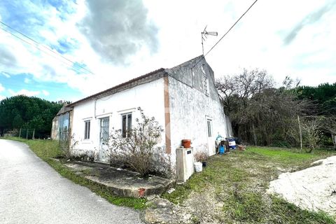 Villa i Juncal, Leiria, Juncal - € 160.000 | Ref: 364/M/01147 - foto 5