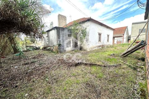 Villa i Juncal, Leiria, Juncal - € 160.000 | Ref: 364/M/01147 - foto 6
