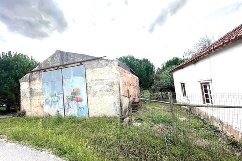 Villa i Juncal, Leiria, Juncal - € 160.000 | Ref: 364/M/01147 - foto 7