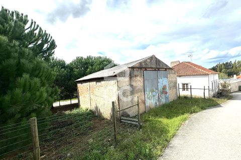 Villa i Juncal, Leiria, Juncal - € 160.000 | Ref: 364/M/01147 - foto 8