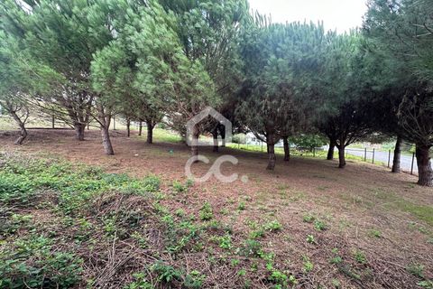 Villa i Juncal, Leiria, Juncal - € 160.000 | Ref: 364/M/01147 - foto 12