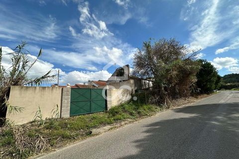 Villa i Juncal, Leiria, Juncal - € 160.000 | Ref: 364/M/01147 - foto 13